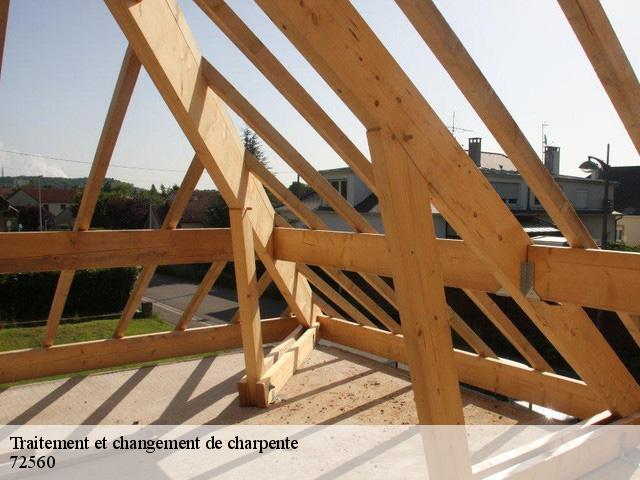 Traitement et changement de charpente  72560