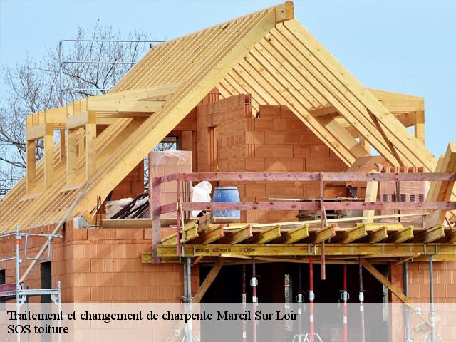 Traitement et changement de charpente  mareil-sur-loir-72200 SOS toiture