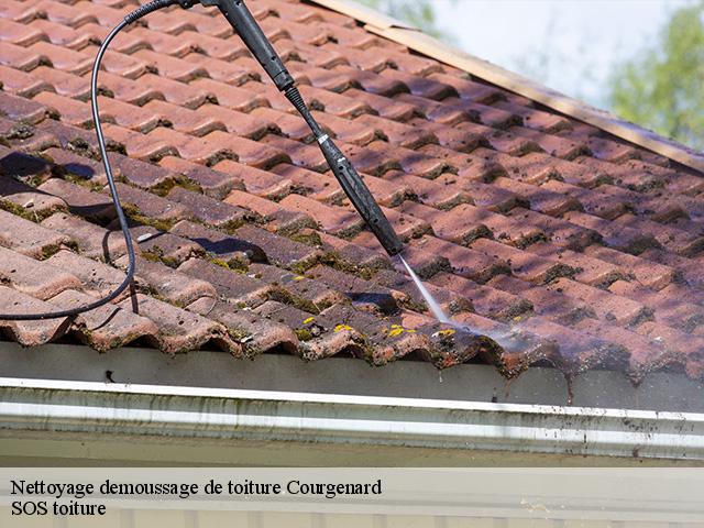 Nettoyage demoussage de toiture  courgenard-72320 SOS toiture