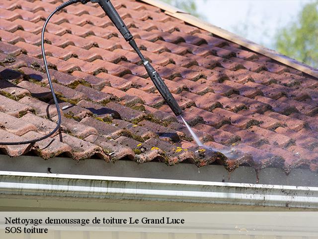 Nettoyage demoussage de toiture  le-grand-luce-72150 SOS toiture